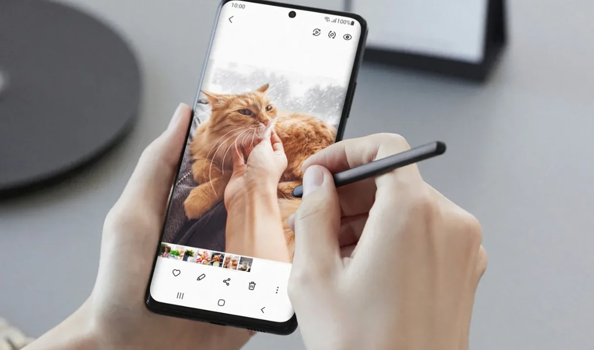 Consequat Mauris Nunc Congue Suscipit